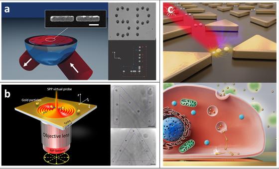 Figure |Principle, operation, and future perspectives of the plasmonic tweezers.