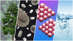 Petrochemical precursors from microbial fermenttion