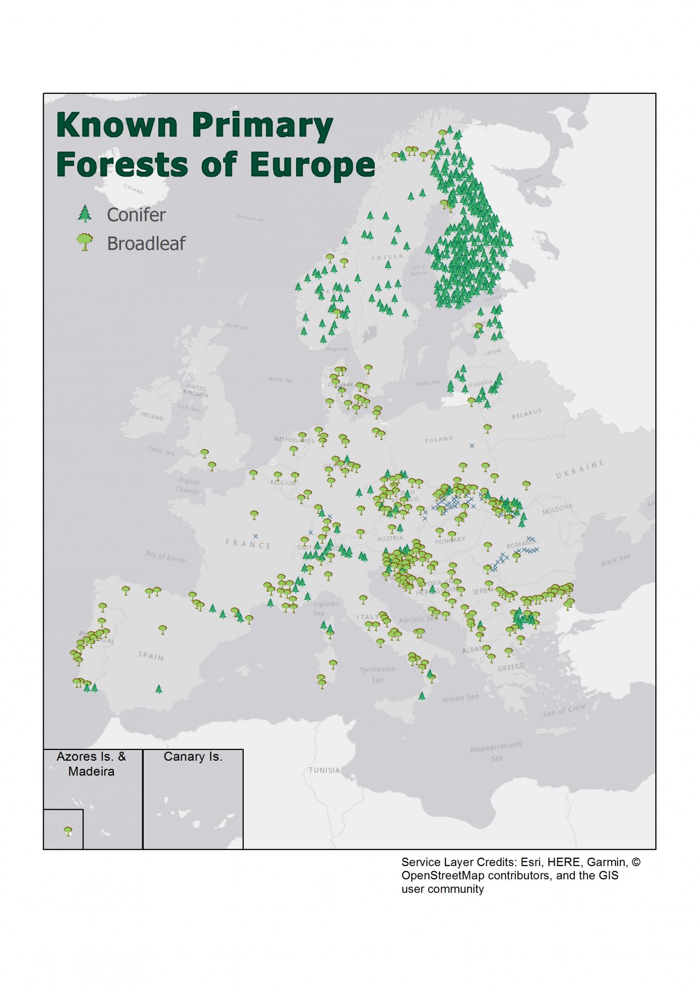 MAP: Primary Forests of Europe