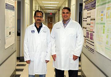 Repetitive compression of limbs appears to aid recovery from deadly brain bleeds