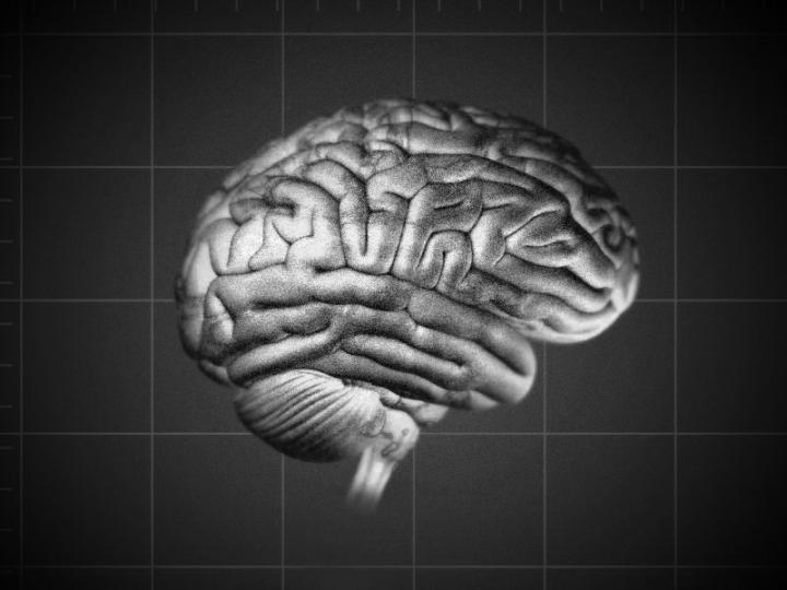 Compound Stems Damage from Brain Bleeding (1 of 2)