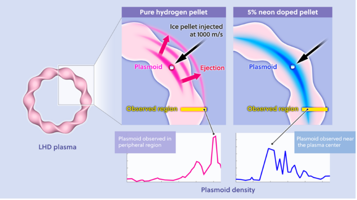 Plasmoid behavior of pure hydrogen and hydrogen mixed with 5 % neon