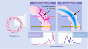 Plasmoid behavior of pure hydrogen and hydrogen mixed with 5 % neon