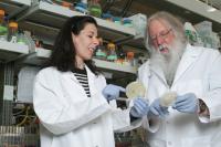 Melha Mellata and Roy Curtiss, Biodesign Institute