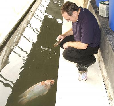 William Muir, Purdue University
