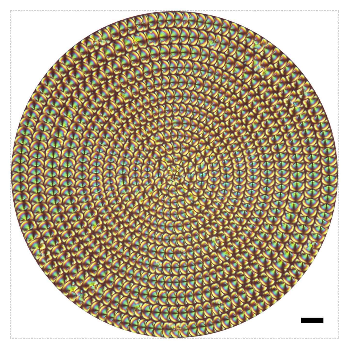 4D Imaging with Liquid Crystal Microlenses