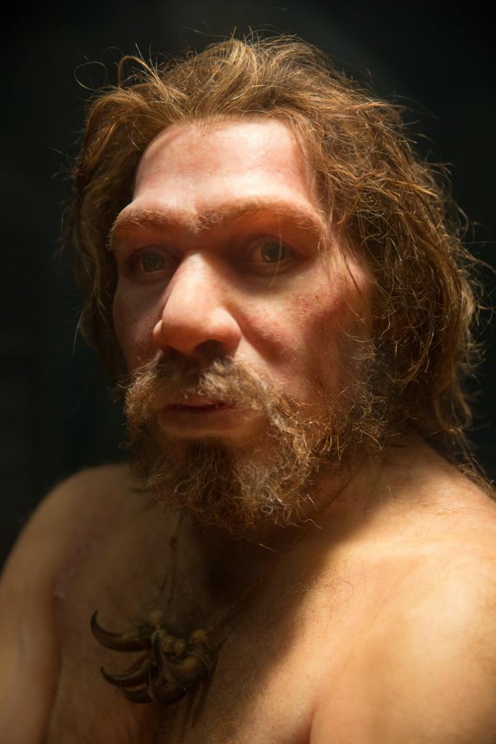 Inbreeding, Population Size/demographics Could Have Led to Neanderthal Extinction