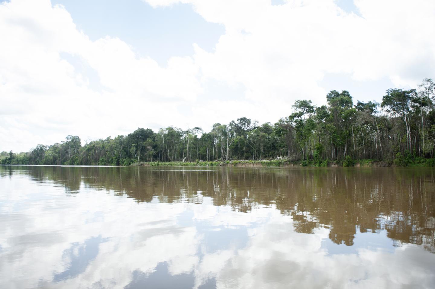 Amazon River