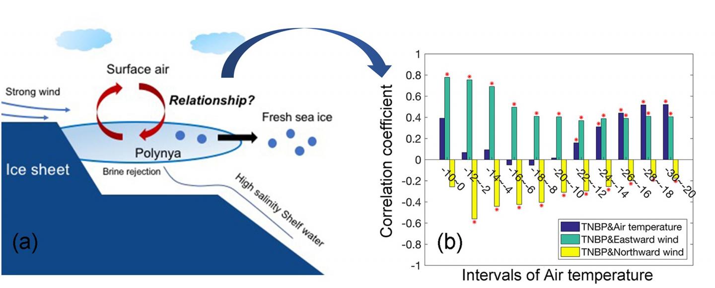 Relationship between Polynya Area and Air Temperature