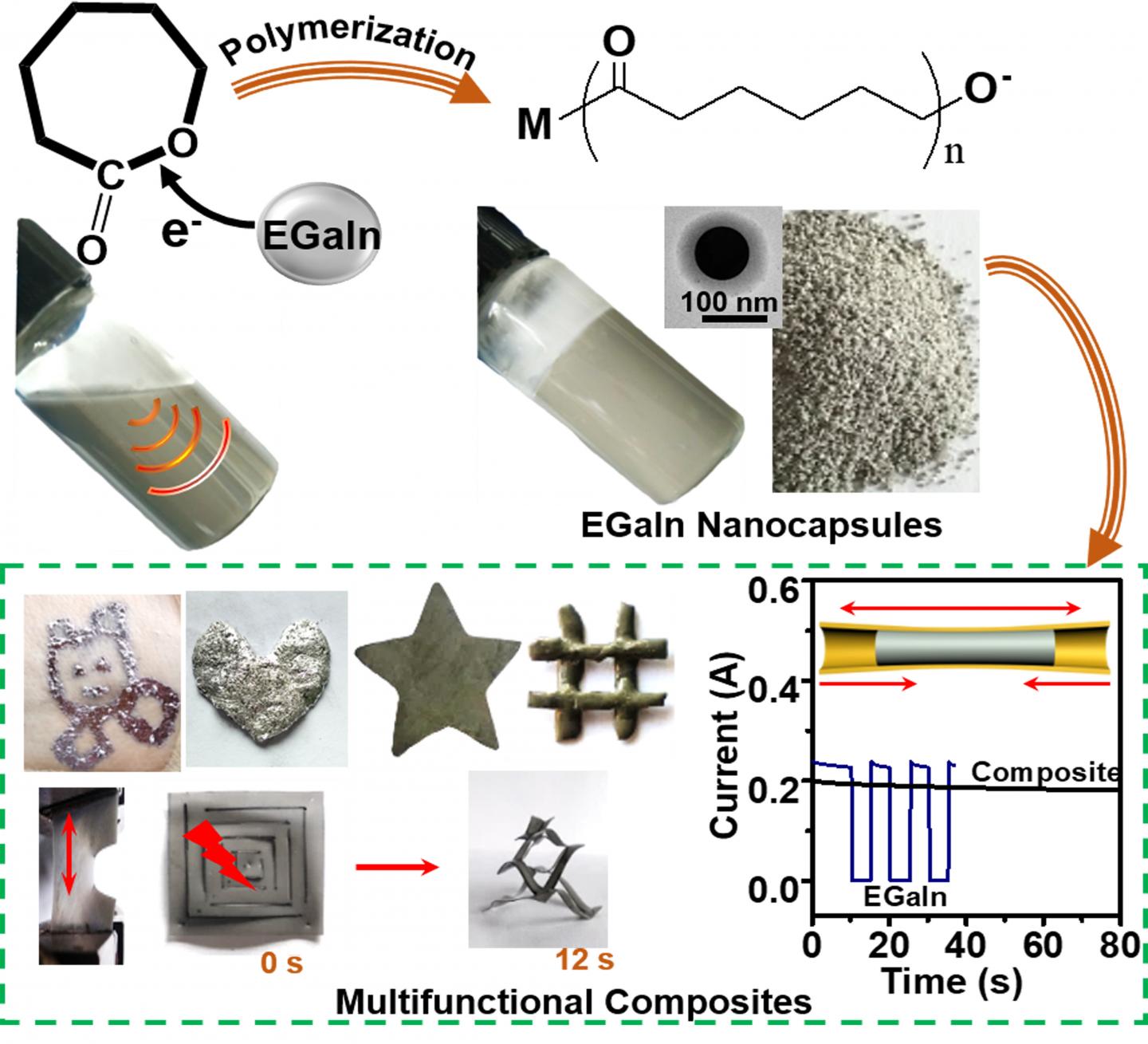 LM Nanocapsules