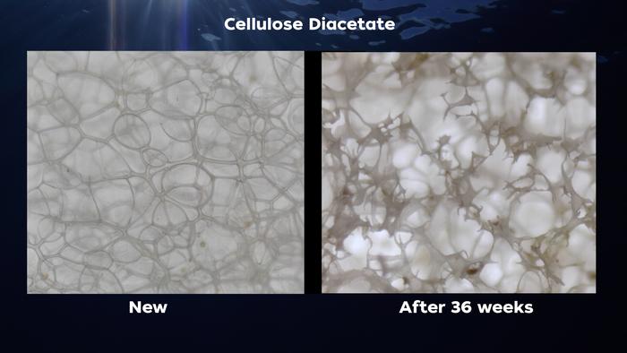 Cellulose Diacetate [IMAGE] | EurekAlert! Science News Releases