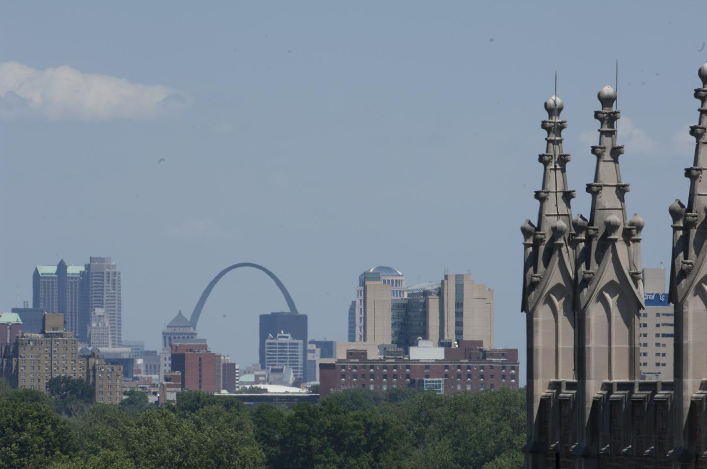 Chemical Emitted by Trees Can Impact St. Louis' Ozone Levels