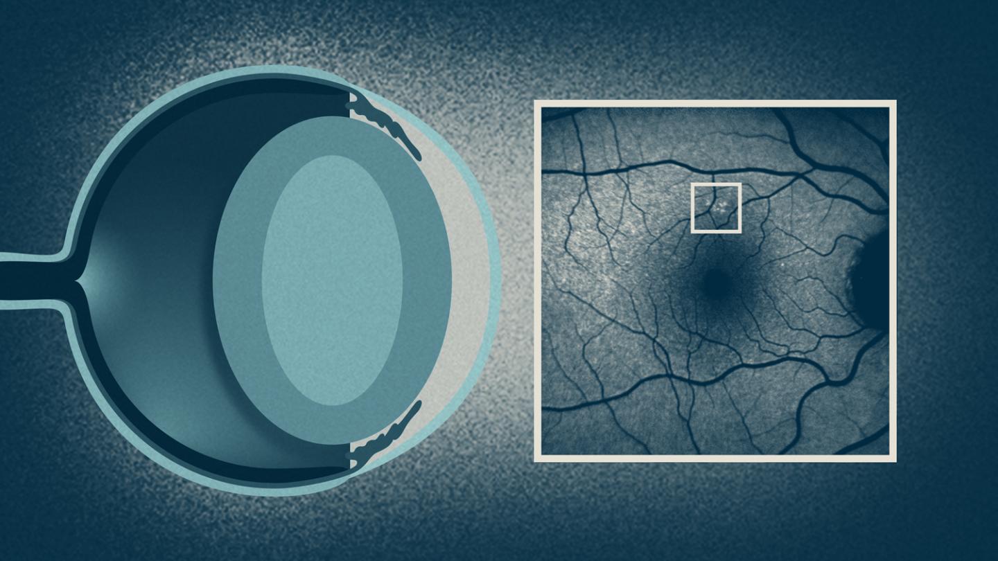 Gladstone Institutes