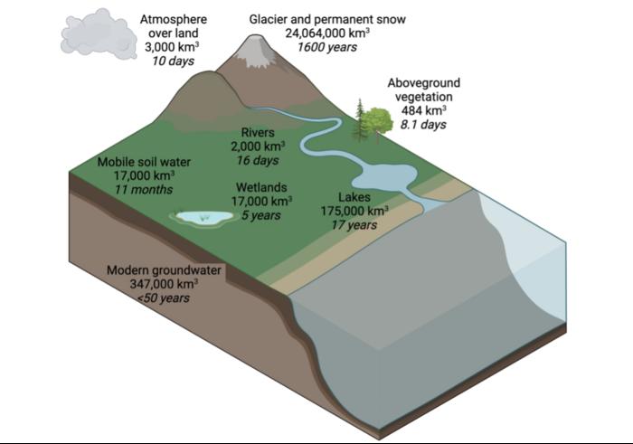 the time it takes for water to flow through the water cycle