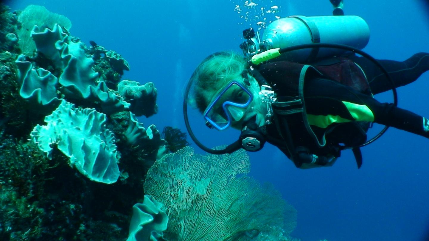 Susan Williams Diving