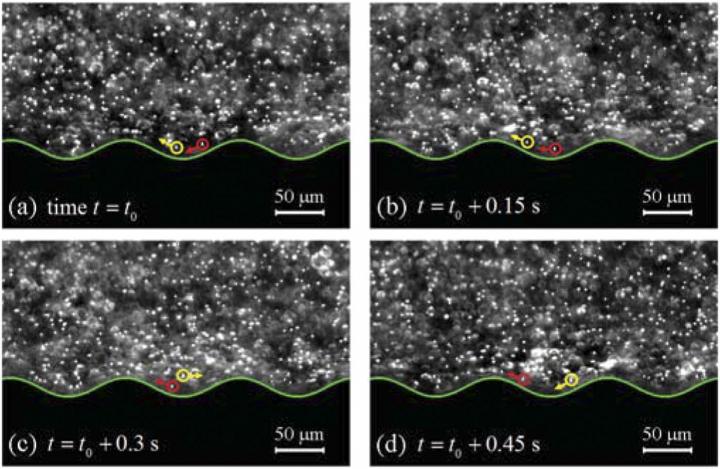 Snapshots of Flowing Fluid