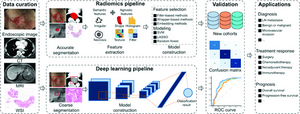 AI improving digestive cancer diagnosis