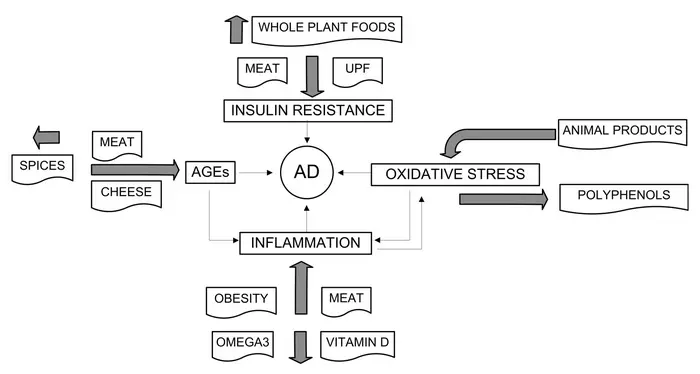 Effects of specific dietary food groups and factors on risk of Alzheimer's disease