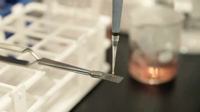 NTU Singapore scientists develop ‘greener’ way to make fertiliser