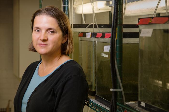 Rebecca Fuller, University of Illinois at Urbana-Champaign