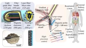 Research Graphic