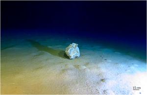 Marine litter has already reached the deepest point in the Mediterranean Sea