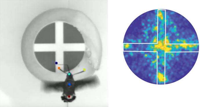 Searching For Nectar