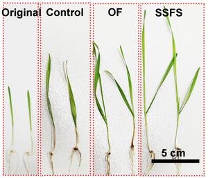 Smart farming 3