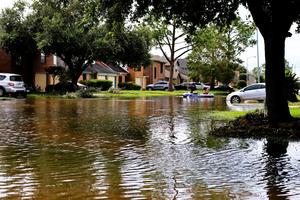 Houston after Hurricane Beryl