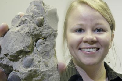 Fraiser with Fossil Record of Bivalves