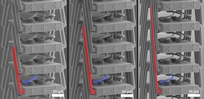 The new metamaterial viewed with a scanning electron microscope; a special structure (red) enables new stretching properties.