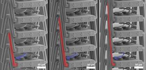 The new metamaterial viewed with a scanning electron microscope; a special structure (red) enables new stretching properties.