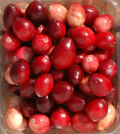 Crimson Queen Berries