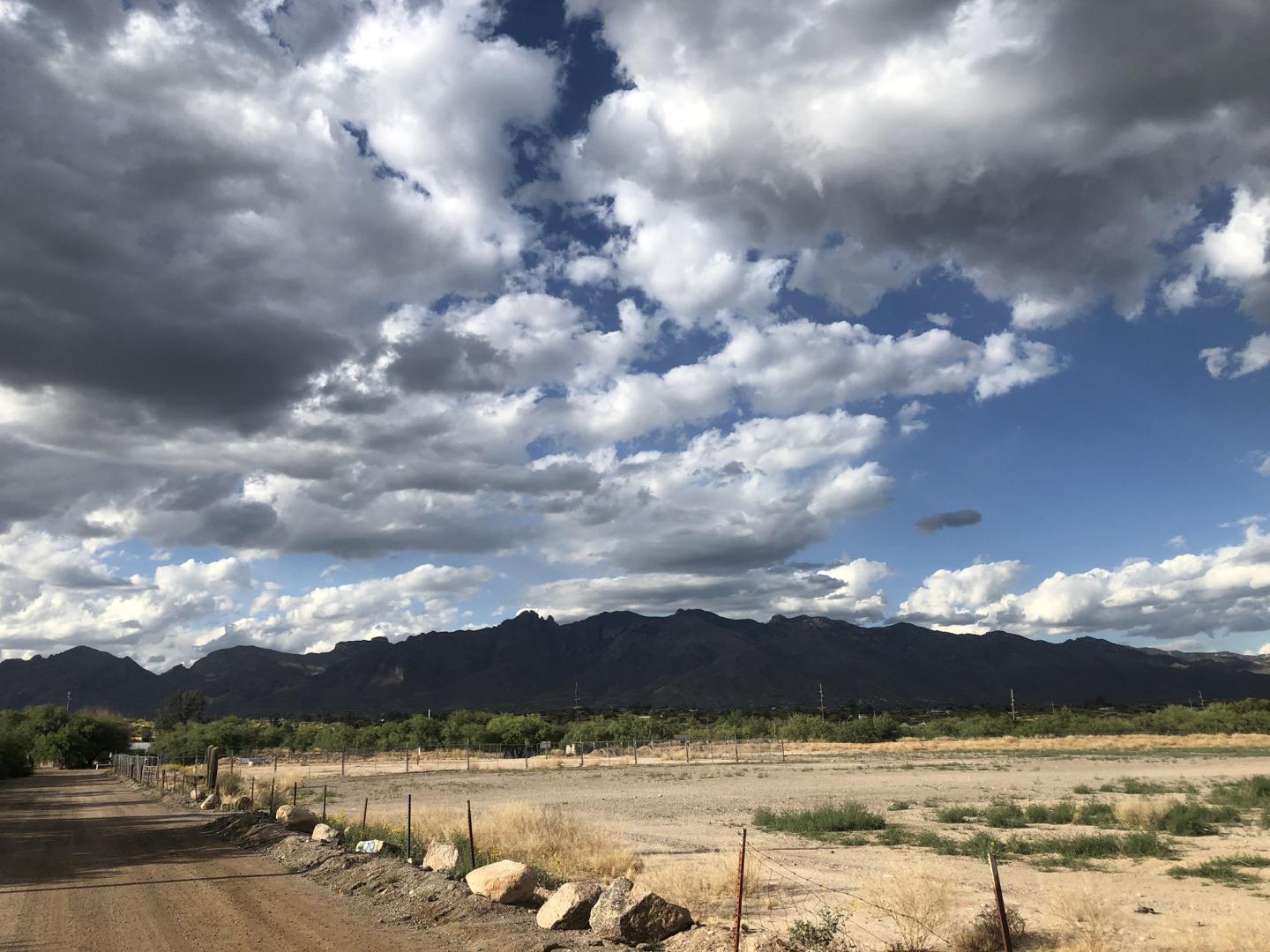 More erratic rainfall makes it harder for forage for livestock and wildlife to survive.