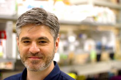 Dr. Vuk Stambolic, Princess Margaret Cancer Centre