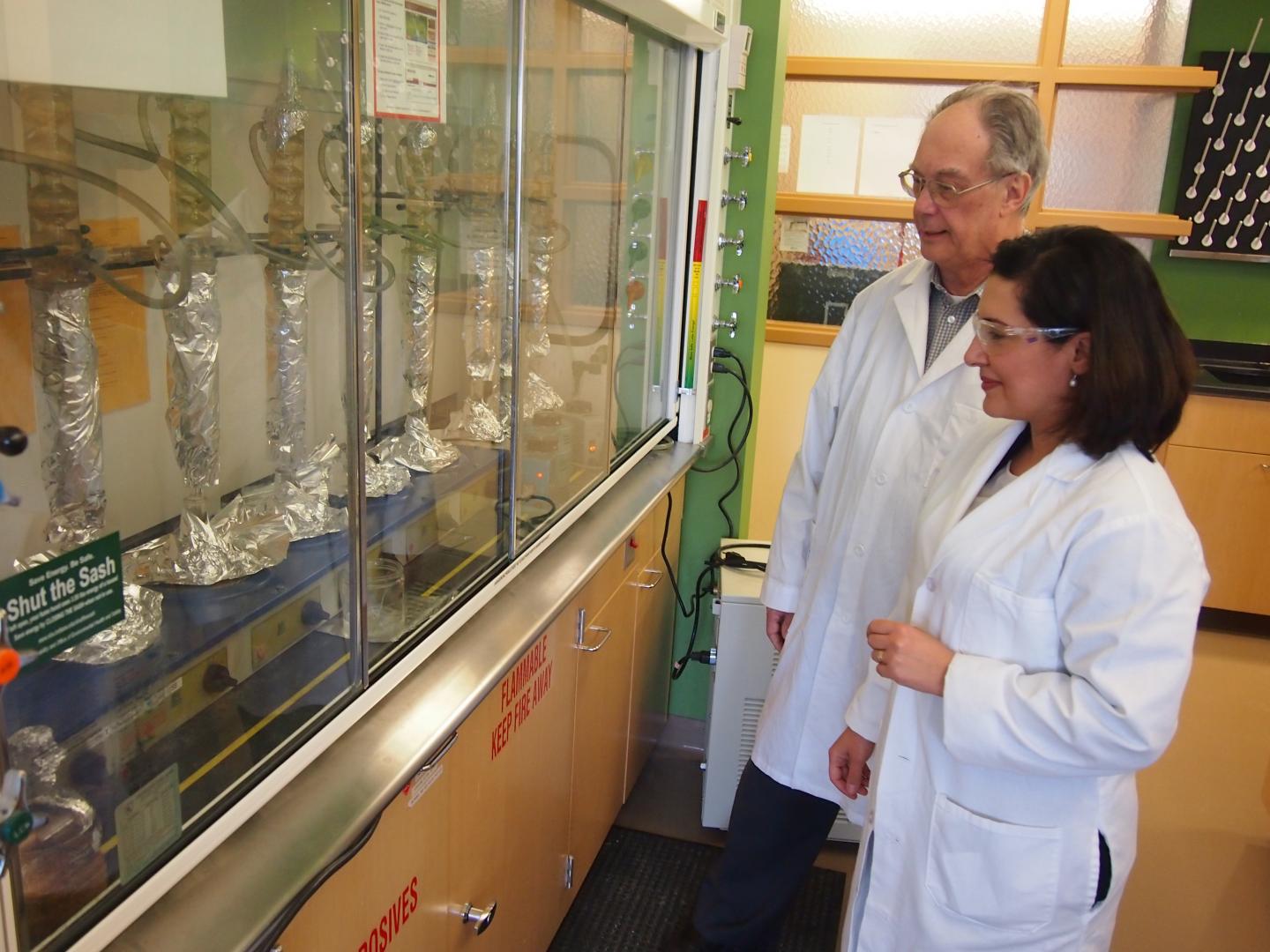 Ronald Hites and Amina, Salamova, Indiana University