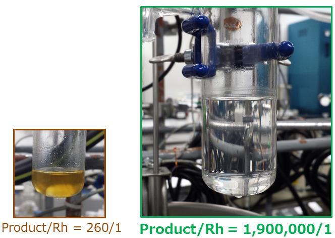 View of the Hydrosilylation Reaction