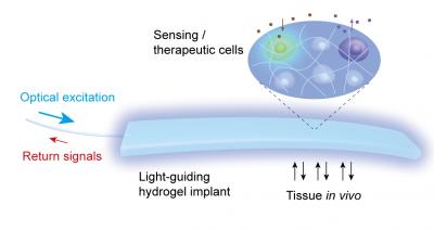 Light-Guiding Hydrogel Implant