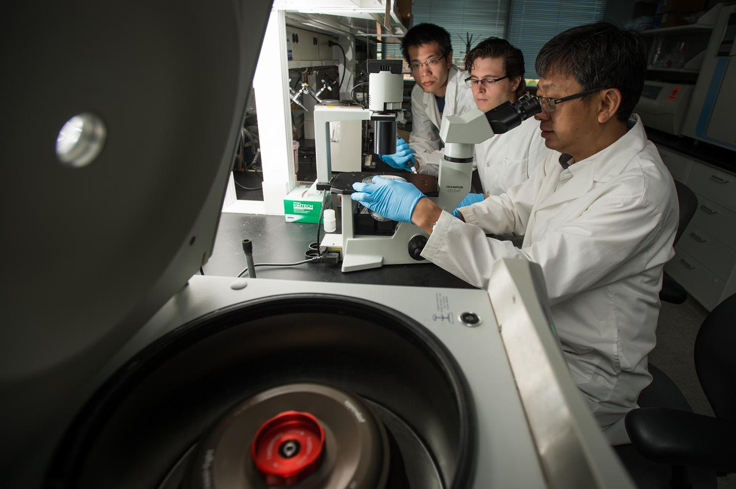 Zheng, Michigan State University