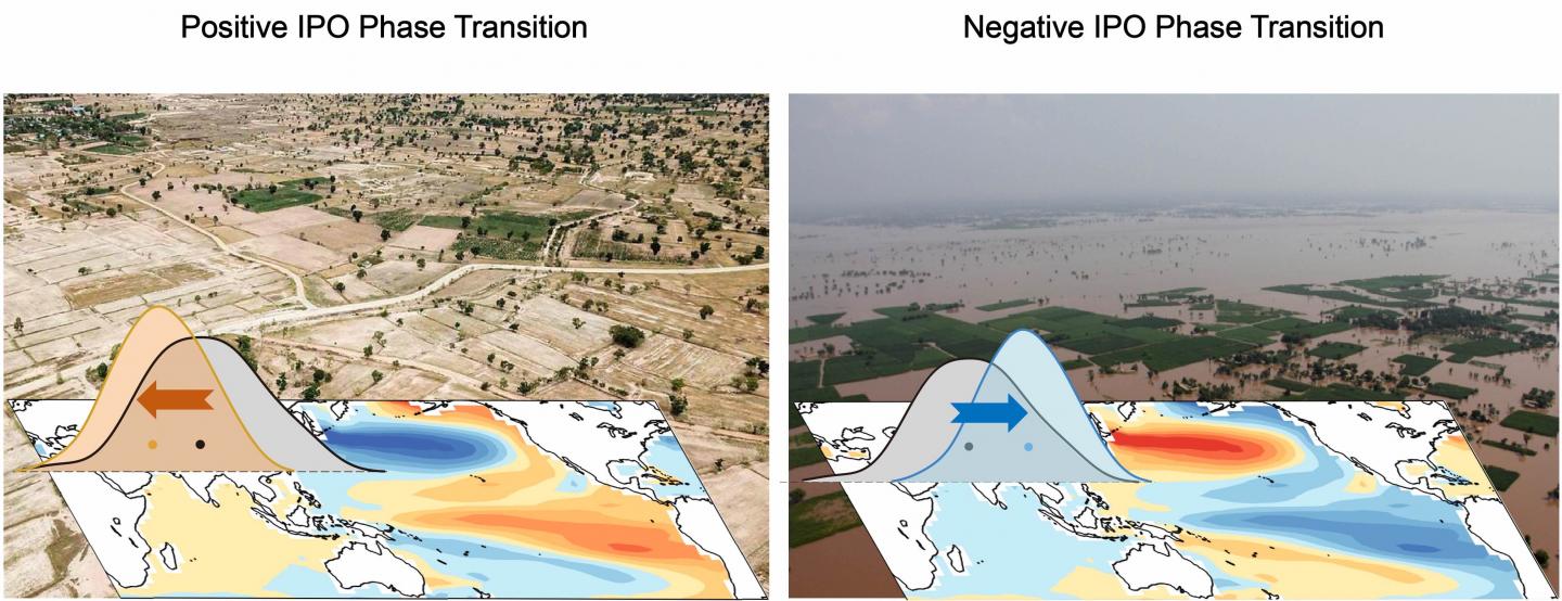 IPO's Influence on Near-Term Projection of SASM Rainfall