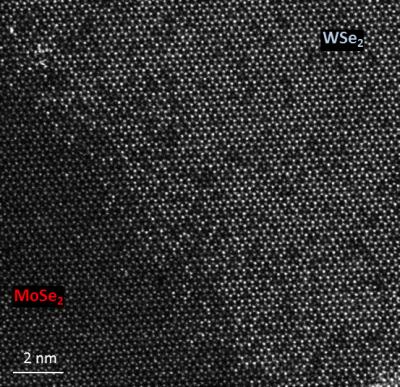 TEM Image [IMAGE] | EurekAlert! Science News Releases