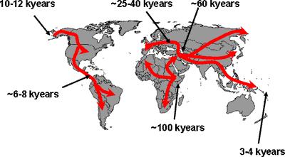 Migration Paths