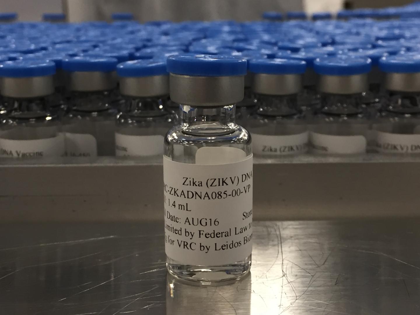 Vial of Investigational DNA Zika Vaccine
