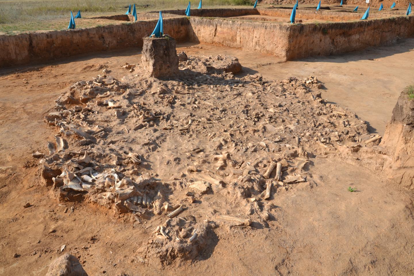 Archaeological Dig in Kazakhstan