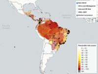 Predicted Reservoir Risk Map for Zika Virus in South America