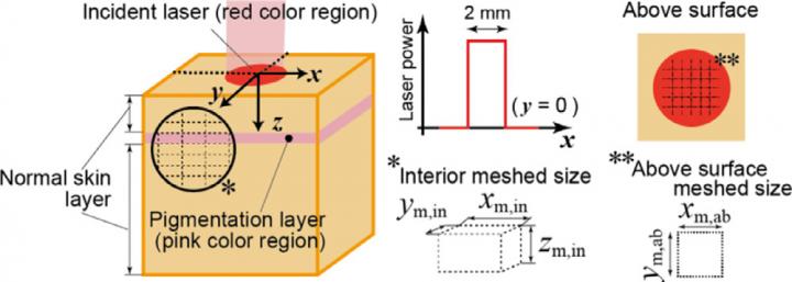 Numerical model for radiation transfer inside human skin