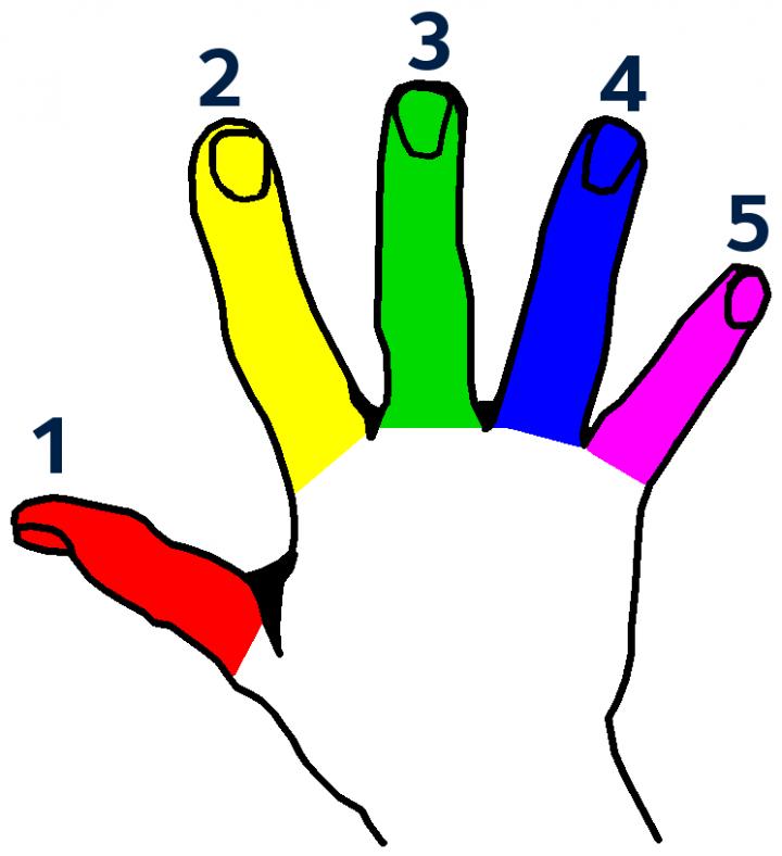 Left Hand Color Codes