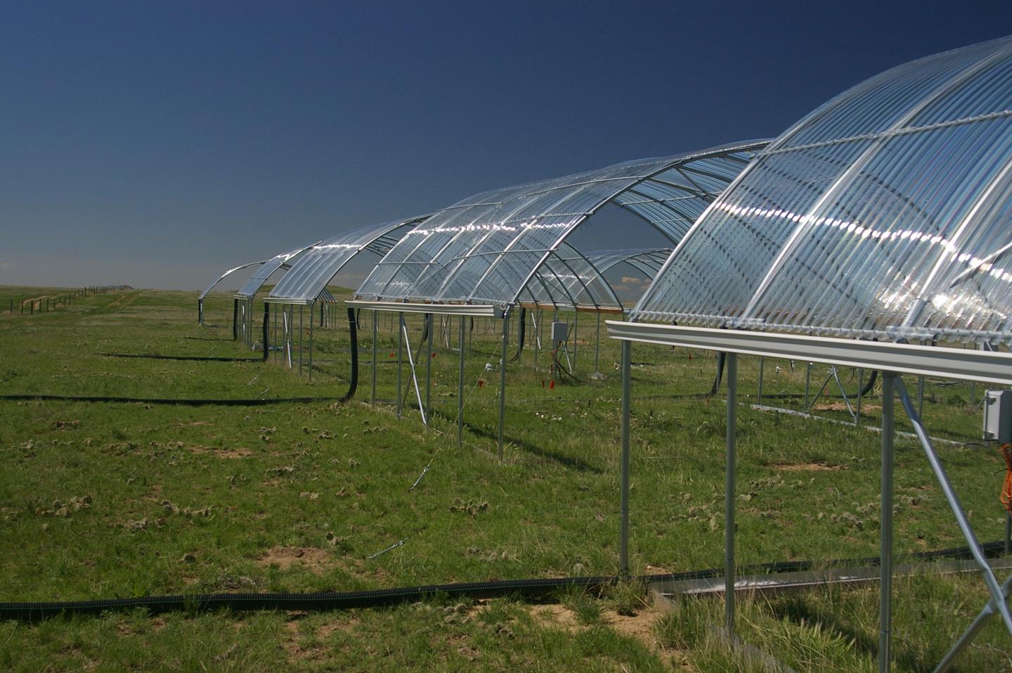 Experimental drought shelter