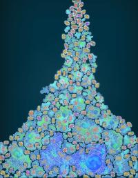Researchers discover 'marvel microbes' explai | EurekAlert!