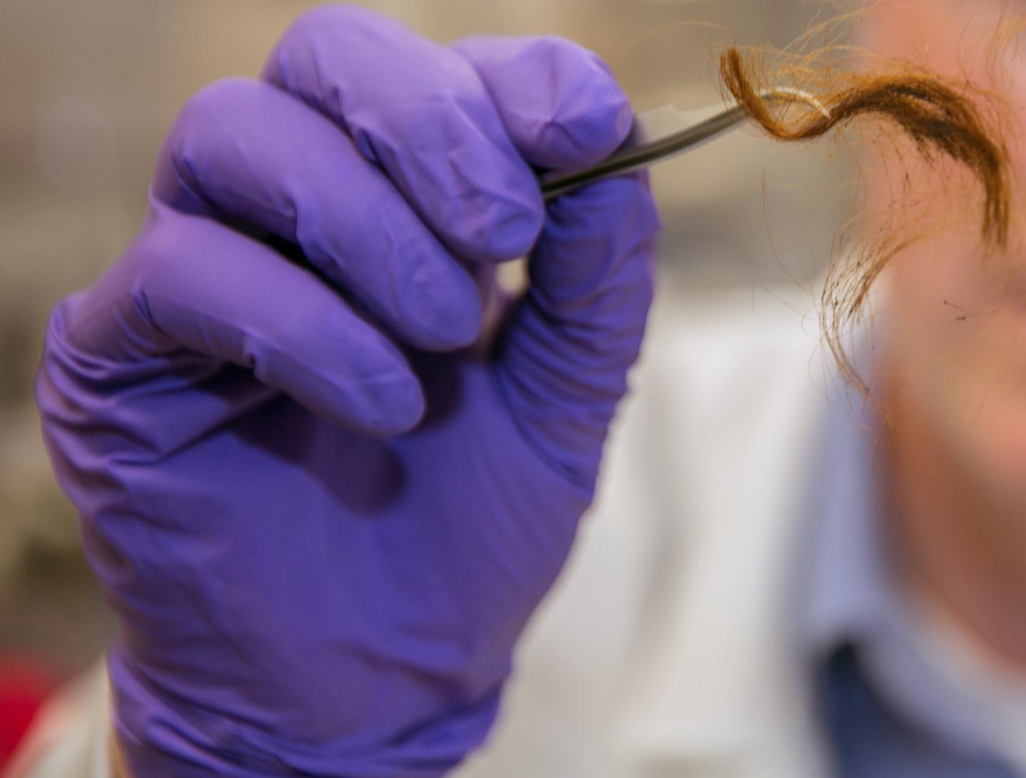 Humans May Be Uniquely Identified by the Proteins in Their Hair